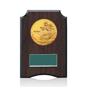 サーフィン樹脂製表彰楯JW-S-6059-surfing