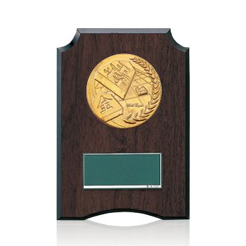 将棋樹脂製表彰楯JW-S-6059-japanesechess