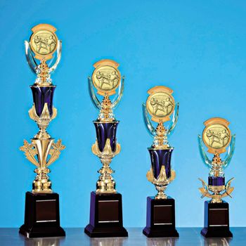 空手スタンダードトロフィーJS-TRZ-4331-taekwondo