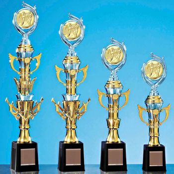 スタンダードトロフィーJS-TRZ-4388-karate