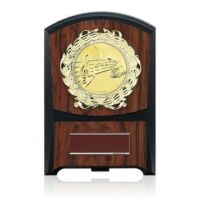 木製表彰楯JS-ATZ-4474