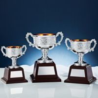 優勝カップJS-NO-4501