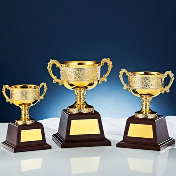 優勝カップJS-NO-4508