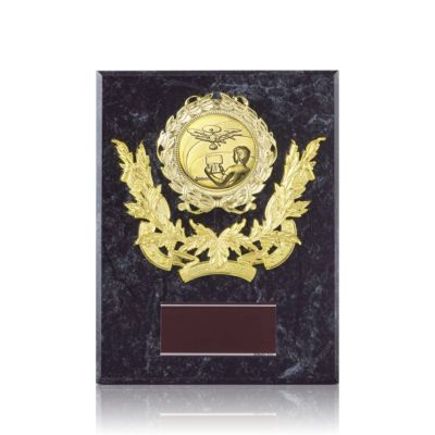 高級感のあるドローン用木製楯JS-ATZ-4475-drone