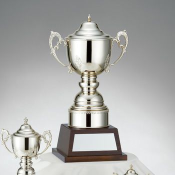 優勝カップJAS-C-1173