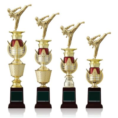 空手スタンダードトロフィーJW-TO-3181-karate