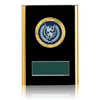 スケートボード（スケボー）木製表彰楯JW-RS-6097-skateboard