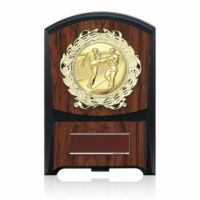 空手木製表彰楯JS-ATZ-4474-karate
