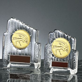 レスリングクリスタル表彰楯JS-YCZ-4955-wrestling