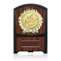  射撃木製表彰楯JS-ATZ-4474-shooting