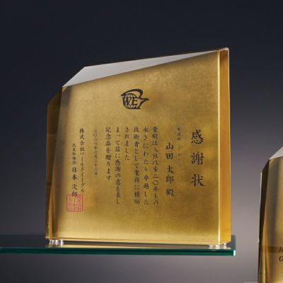 セミオーダートロフィーJW-SHY-7005